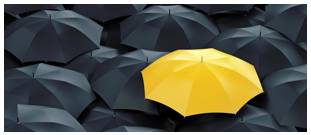 Anomaly  - Meaning: something that deviates from what is standard, normal, or expected.