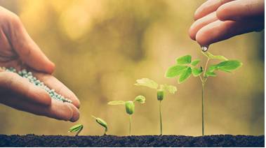 Nurture  - Meaning: care for and protect (someone or something) while they are growing.
