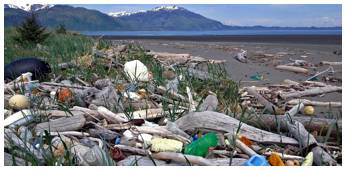 Debris  - Meaning: scattered fragments, typically of something wrecked or destroyed.
