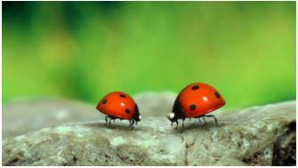 Minuscule  - Meaning: extremely small; so small as to be insignificant.