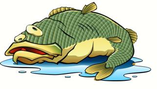 Languish  - Meaning: (of a person or other thing) lose or lack vitality; grow weak or feeble.