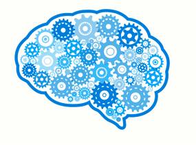 Cognitive  - Meaning: relating to cognition.