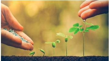Nurture  - Meaning: care for and protect (someone or something) while they are growing.