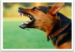 Vicious  - Meaning: serious or dangerous; cruel.
