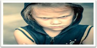 Resentment  - Meaning: bitter indignation at having been treated unfairly.