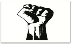Insurgency  - Meaning: an active revolt or uprising.