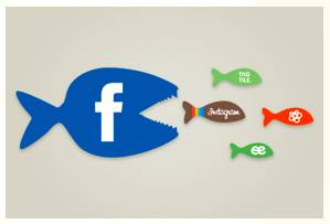 Acquisition  - Meaning: the buying or obtaining of assets or objects.
