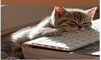 Mundane  - Meaning: lacking interest or excitement; dull.