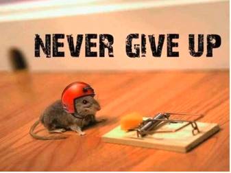 Persistent  - Meaning: continuing to exist or occur over a prolonged period.