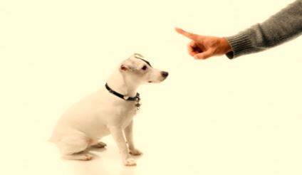 Comply  - Meaning: act in accordance with a wish or command.