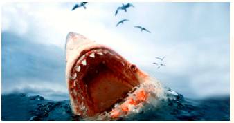 Ruthlessness  - Meaning: the quality of lacking pity or compassion for others.
