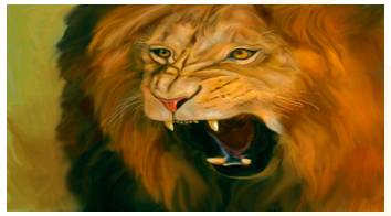 Ferocity  - Meaning: the state or quality of being ferocious.