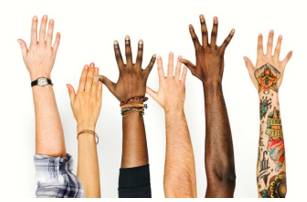 Diversity  - Meaning: a range of different things.