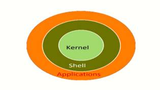 Kernel  - Meaning: the central or most important part of something.