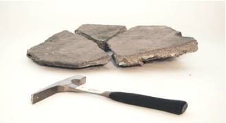 Fragment  - Meaning: to break something into small parts or to be broken up in this way.