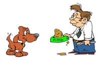 Solicitude - Care or concern for someone or something.