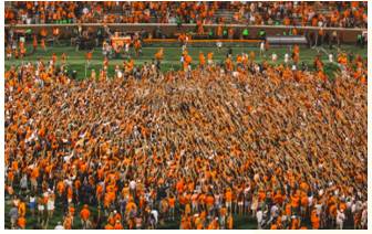 Flock  - Meaning: to move or come together in large numbers.