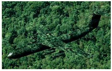 Camouflage  - Meaning: conceal the existence of something.