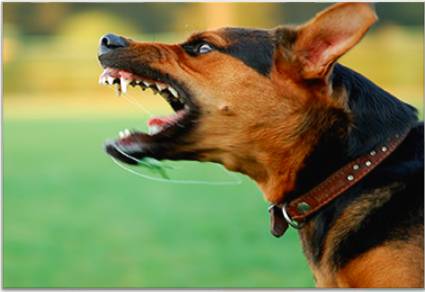 Vicious  - Meaning: Serious or dangerous; cruel.