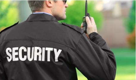 Sentinel  - Meaning: a soldier whose job is to guard something.