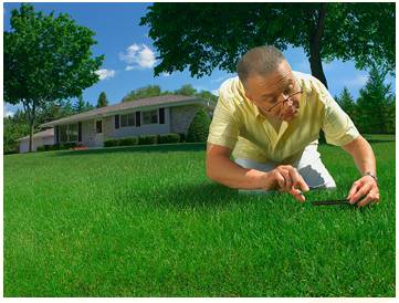 Meticulous  - Meaning: Paying careful attention to every detail.