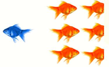 Heterodox  - (of beliefs, ideas, or activities) different to and opposing generally accepted beliefs or standards.
