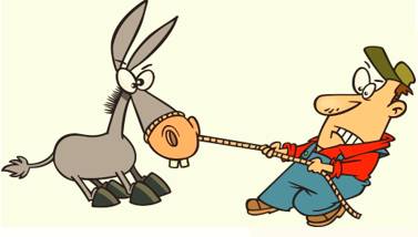 Doggedly  - Meaning: In a manner that shows determination to do something, even if it is very difficult.