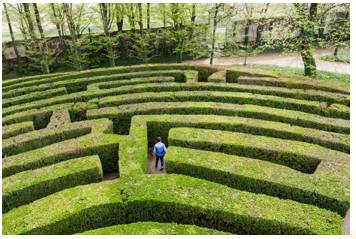 Maze  - Meaning: Something confusingly elaborate or complicated.