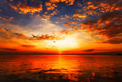 Majesty  - Meaning: Impressive beauty, scale, or stateliness.