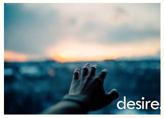 Appetite  - Meaning: A strong desire for something.