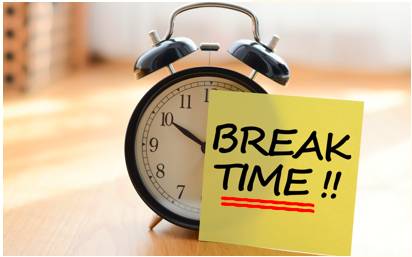 Hiatus  - Meaning: A pause or break in continuity in a sequence or activity.