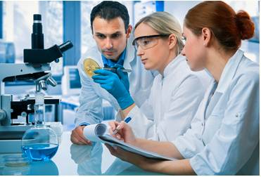 Empirical  - Meaning: Based on what is experienced or seen rather than on theory.