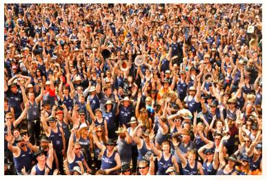 Muster  - Meaning: To gather together as a group or force, or to cause a force to gather.