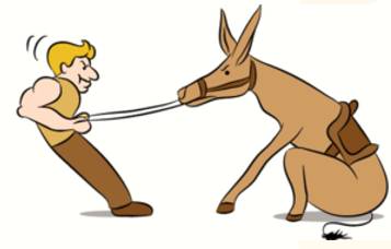 Intransigence  - Meaning: Refusal to change one's views or to agree about something.