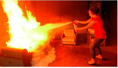 Douse  - Meaning: To douse something is also to end it (esp. fire).