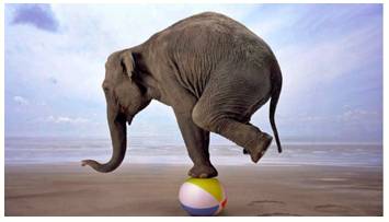 Volatility  - Meaning: The quality or state of being likely to change suddenly.