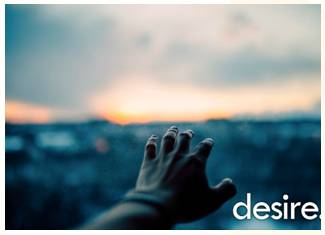 Appetite  - Meaning: A strong desire for something.