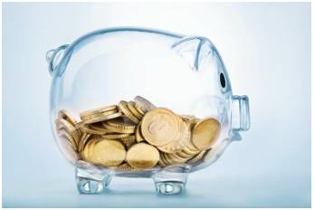 Earmark  - Meaning: Designate (funds or resources) for a particular purpose.
