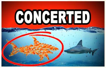 Concerted  - Meaning- Jointly arranged or carried out; coordinated