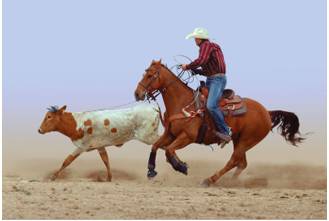 Steer  - Meaning-  To take control of a situation and influence the way in which it develops (चलाना)