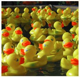 Plethora  - Meaning- A large or excessive amount of something.
