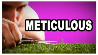 Meticulous  - Meaning- Showing great attention to detail; very careful and precise.