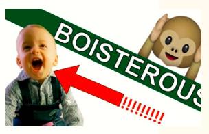 Boisterous  - Meaning- noisy and full of life and energy.