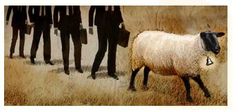 Bellwether  - Meaning- Something that leads or indicates a trend.