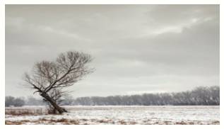 Bleak  - Meaning- Not hopeful or encouraging; unlikely to have a favourable outcome.