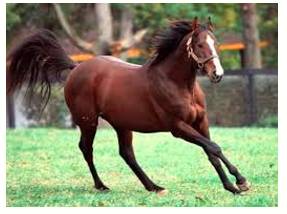 Unbridled  - Meaning- uncontrolled.