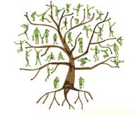 Lineage - The series of families that somebody comes from originally.