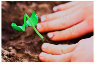 Nurture  - Meaning- To care for and protect somebody/something while they are growing and developing.