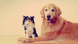 Juxtapose  - Meaning- To put people or things together, especially in order to show a contrast or a new relationship between them.