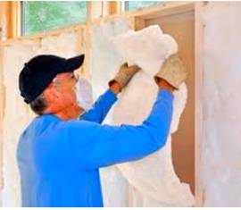 Insulate  - Meaning- To protect somebody/something from unpleasant experiences or influences.